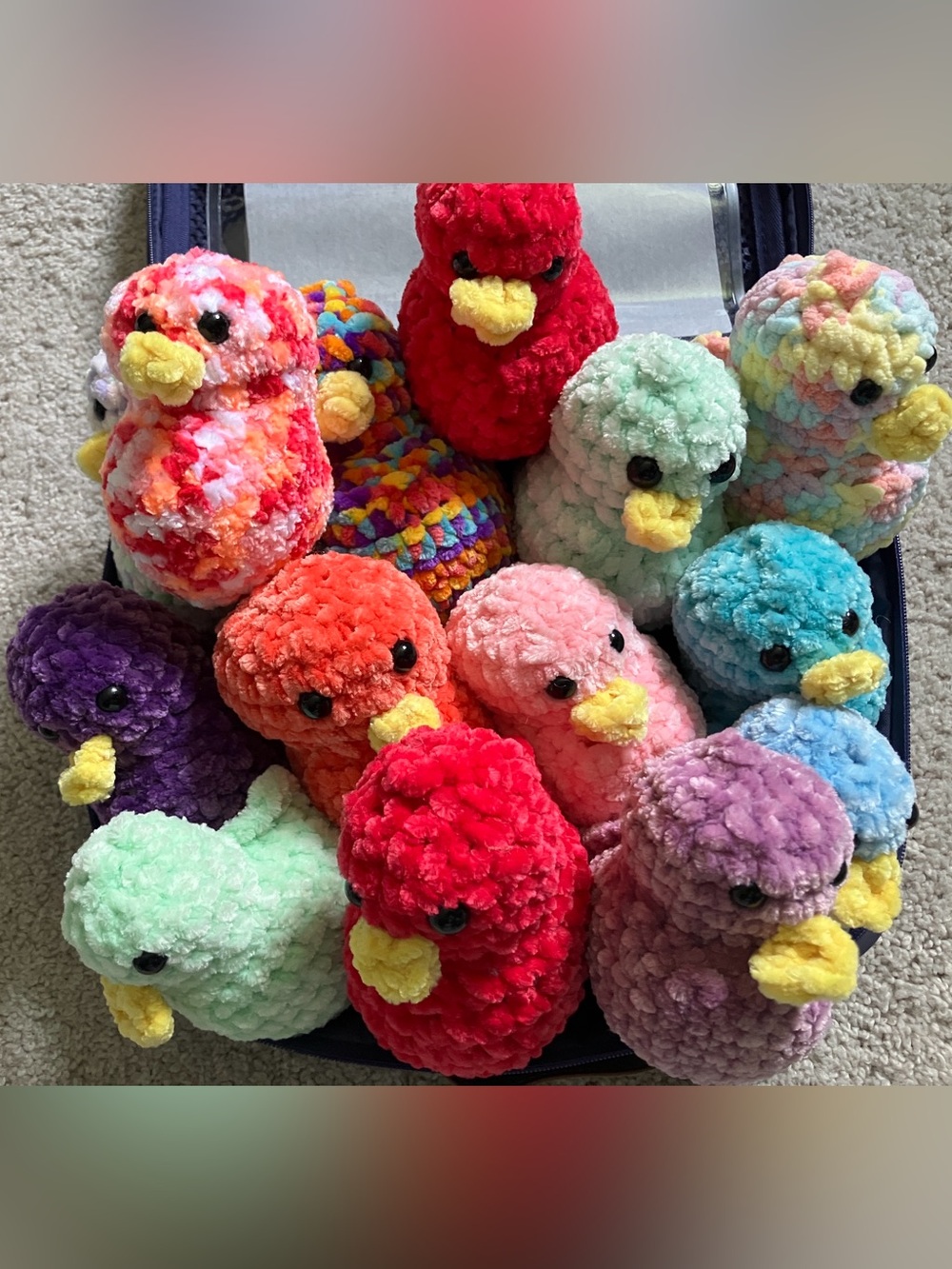 UNLISTED 🦆ADOPT A DUCK 🦆